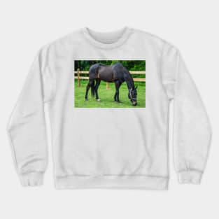 Sam the best  horse Crewneck Sweatshirt